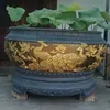 hoangsahieu