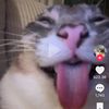 sleepingdemon17