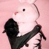 babybatpinky
