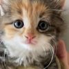 tabitha5902
