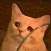 _sofhaha_