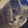 colleenmichell