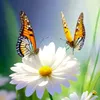 rosimeirealves472