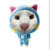 user15ztbn2r8x