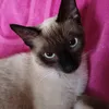marisacristofaro