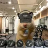 lucas_strw