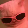 elise_arauj0