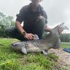 paylake_gdog