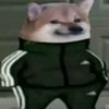 banditboi13