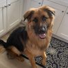 jackyygsd