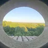 vctju