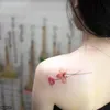 rimo1_om