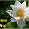 user3430824709342