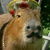 giovanna_capivara_