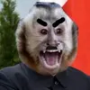 dictator_monkey