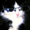 toml.zzz