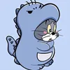 irdima_