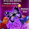 irmaramirez358