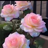 elianeli38