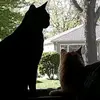 randireads07