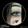 salm30376saim