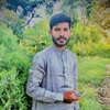 syedhassanraza049