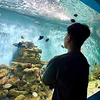 kibikappa