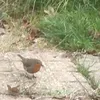 louiselulu55