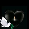 lavi.87