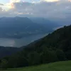 marti_17111