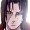 steppe_wolf7