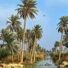 ايام زمان