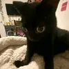 samuel_61247