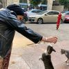 habibaahme02