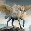 star.pegasus