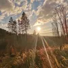 dominikkratt._