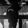 purposebeforepleasure