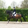 sophie_0183x