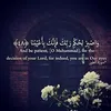 ahmed_el_1337