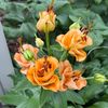 marmar88123