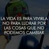 carrera_bj
