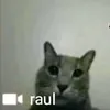 fransagustvilgot