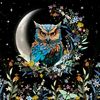nightowlfizzing