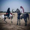 mahmed361