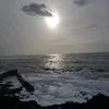 brittellen27