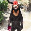 anti_slab_bear