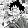 luffy_officiel_du49