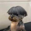 fernandog209