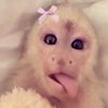 itzzzzzzz_cami2