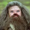 harry_hagrid